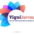 yiguistore